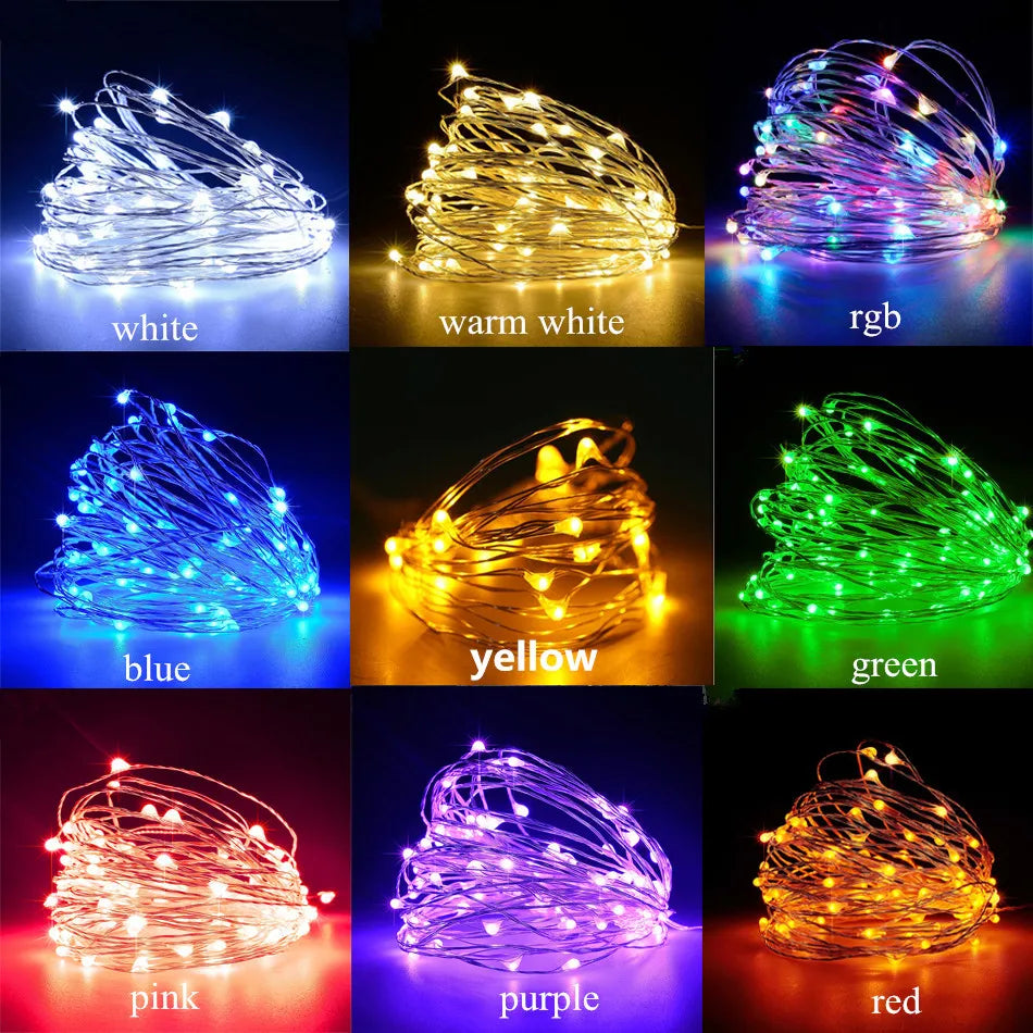Multi-color LED Copper Wire String 1/2/5/10M Outdoor Lighting Decoration